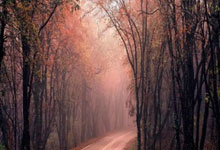 西班牙国家队战平对手，实力对比不明显